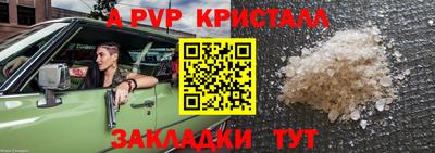 гашик Нальчик