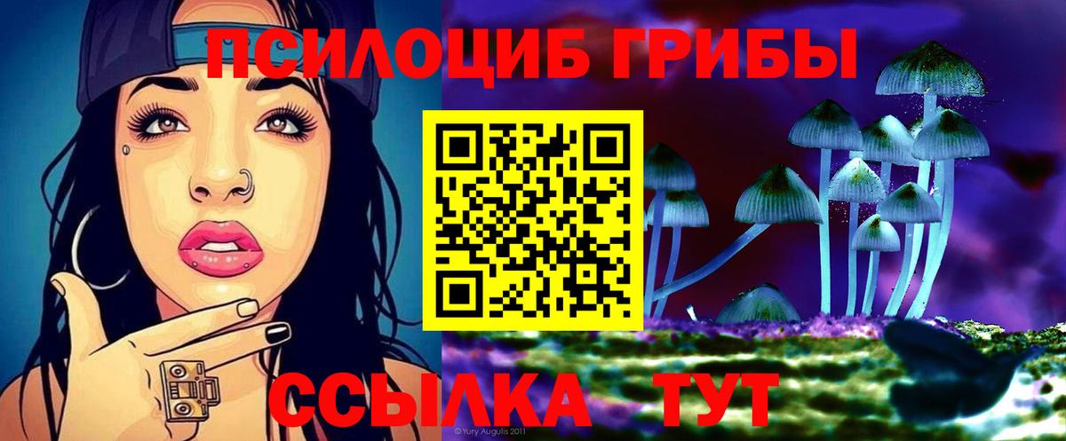 Псилоцибиновые грибы мухоморы  цены наркотик  Вход с VPN  Чехов  Галлюциногенные грибы Magic Shrooms 